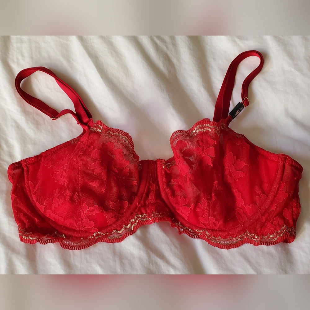 Victoria's Secret Dream Angel's push-up lace bra